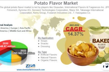 Potato Flavor Market Size, Share, Trends Analysis Report And Segment Forecast 2024-2032